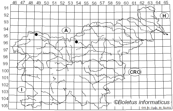 <i>Cheilosia hypena</i> Becker