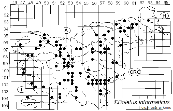<i>Hygrophorus chrysodon</i> (Batsch) Fr. (1838)
