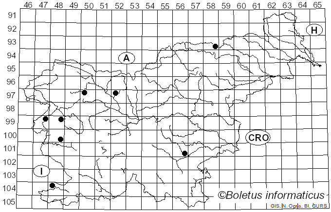<i>Cortinarius scaurus</i> var. <i>herpeticus</i> (Fr.) Quél.