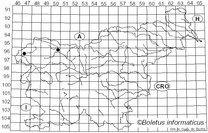 <i>Beauveria bassiana</i> (Bals.-Criv.) Vuill. (1912)