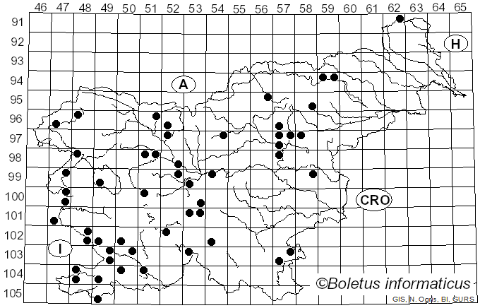 <i>Lactarius sanguifluus</i> (Paulet) Fr. (1838)
