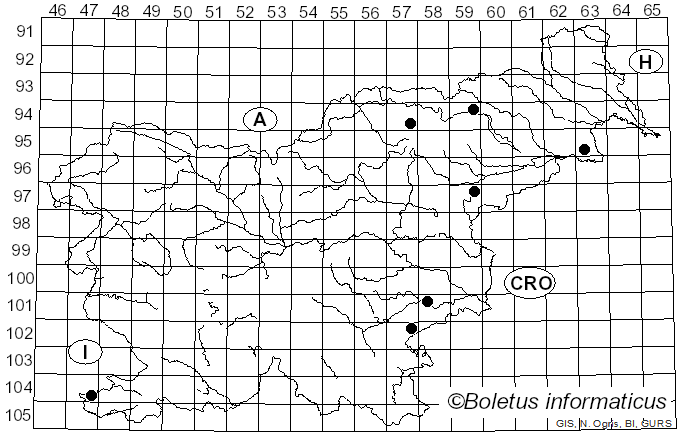 <i>Mycenella bryophila</i> (Voglino) Singer (1951)