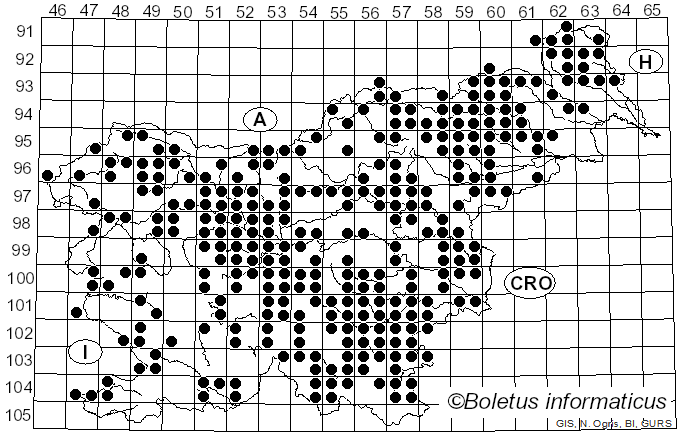 <i>Collybia</i> (Fr.) Staude (1857)