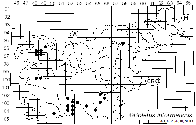 <i>Leptogium lichenoides</i> (L.) Zahlbr. (1924)
