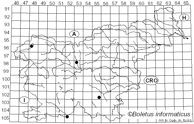 <i>Stemonitis lignicola</i> Nann.-Bremek. (1973)