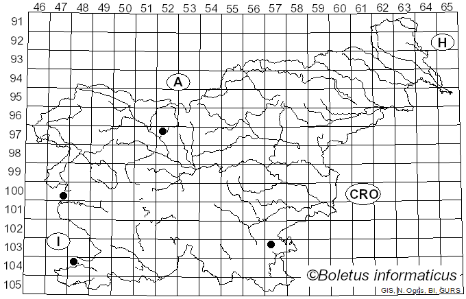 <i>Cortinarius saporatus</i> Britzelm. (1897)