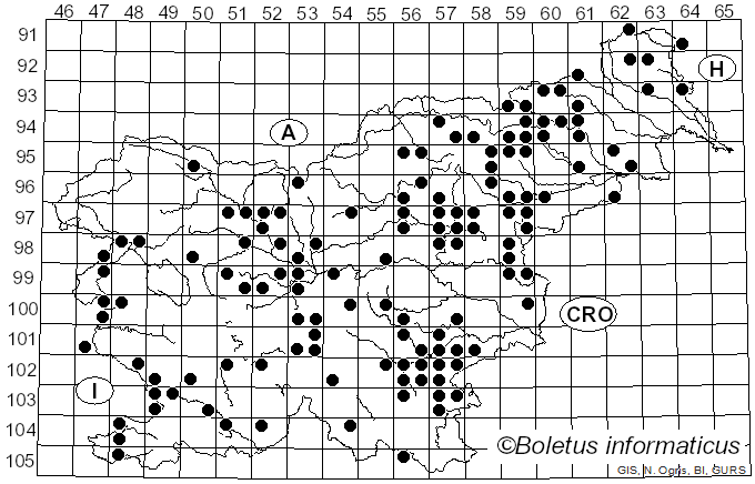<i>Hygrophorus penarius</i> Fr. (1836)