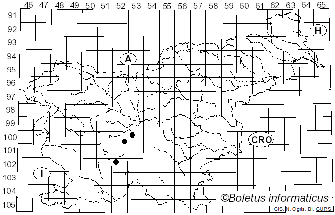 <i>Ustilago nuda</i> (J. L. Jensen) Kellerm. & Swingle (1890)