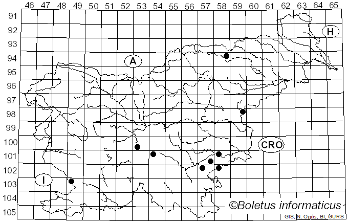 <i>Xylobolus</i> P. Karst. (1881)