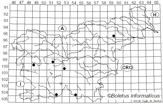<i>Ceriporia reticulata</i> (Hoffm.) Domanski (1963)