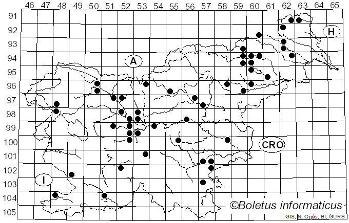 <i>Trametes suaveolens</i> (L.) Fr. (1838)