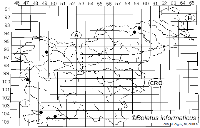 <i>Geopyxis</i> (Pers.) Sacc. (1889)