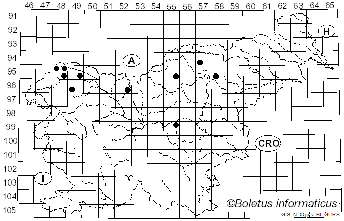 <i>Lecanora conizaeoides</i> f. <i>conizaeoides</i> Nyl. ex Cromb. (1885)