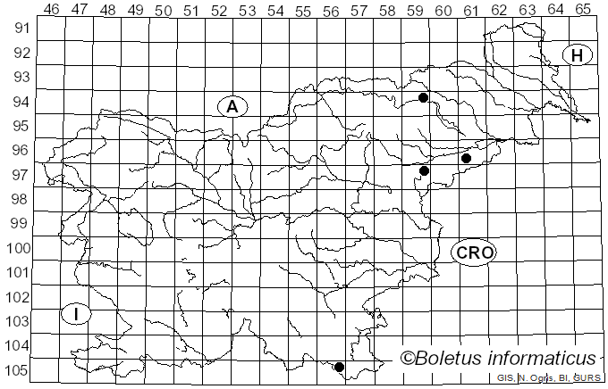 <i>Gymnopus alkalivirens</i> (Singer) Halling (1997)