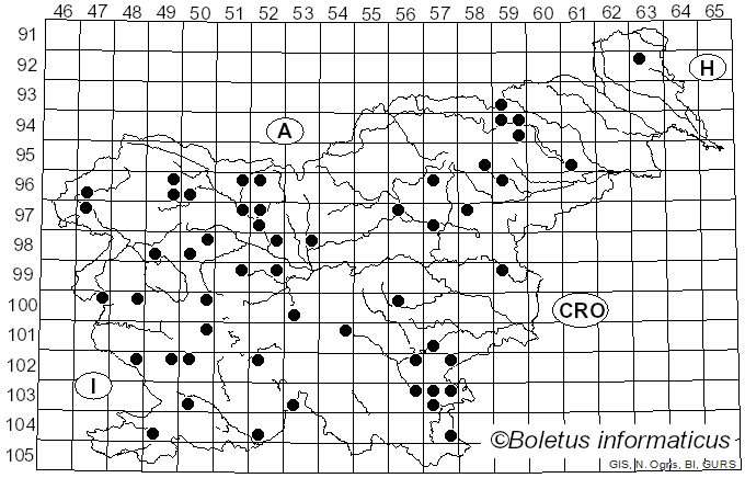 <i>Apioperdon</i> (Kreisel & D. Krüger) Vizzini (2017)