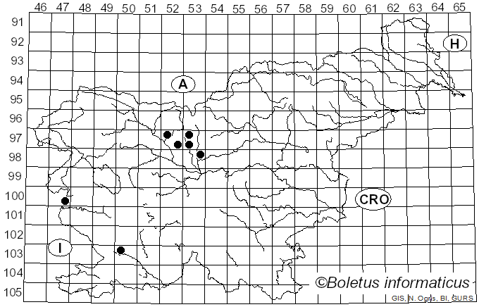 <i>Lachnella villosa</i> (Pers.) Gillet (1880)