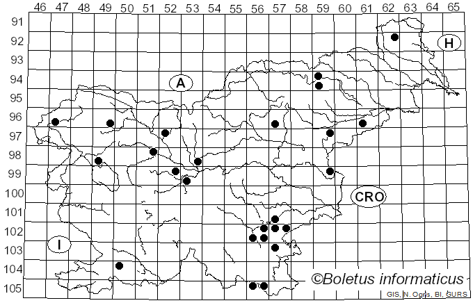 <i>Clavulinopsis corniculata</i> (Godey) Corner (1950)