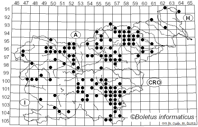 <i>Amanita battarrae</i> (Boud.) Bon (1985)