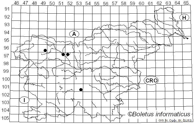 <i>Ripartites metrodii</i> Huijsman (1960)