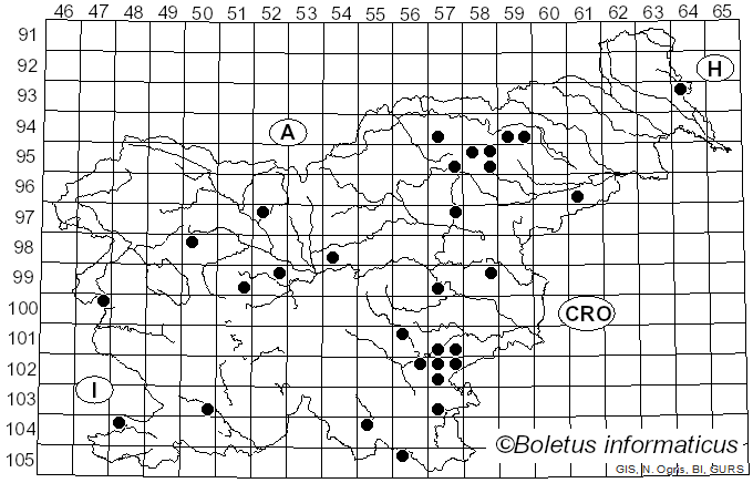 <i>Russula vinosobrunnea</i> (Bres.) Romagn. (1967)