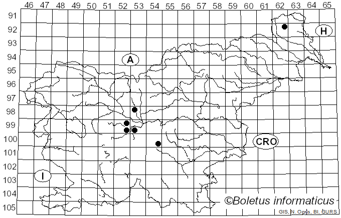 <i>Tricholoma portentosum</i> var. <i>lugdunense</i> Bon (1976)