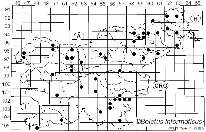 <i>Picipes</i> Zmitr. & Kovalenko (2016)