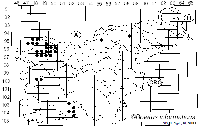<i>Vulpicida</i> J.-E. Mattsson & M.J. Lai (1993)