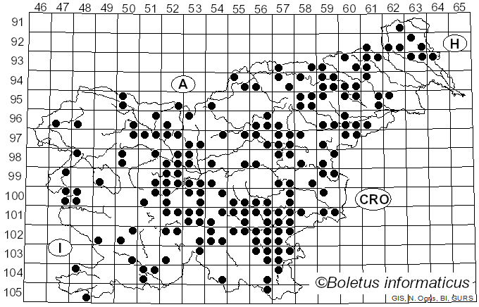 <i>Butyriboletus appendiculatus</i> (Schaeff.) D. Arora & J.L. Frank (2014)