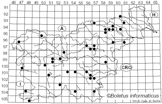 <i>Coprinopsis lagopus</i> (Fr.) Redhead, Vilgalys & Moncalvo (2001)