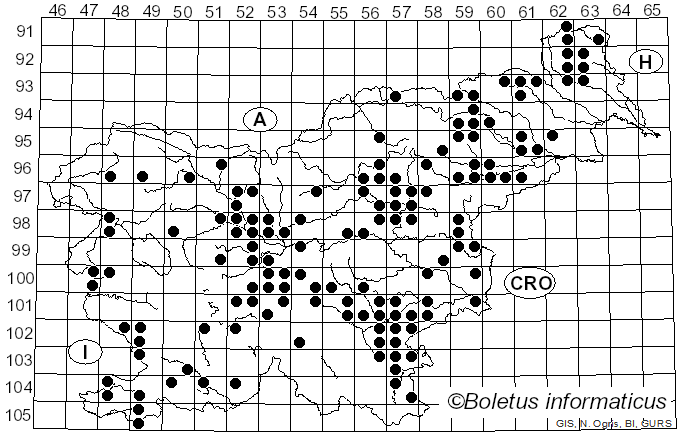 <i>Amanita caesarea</i> (Scop.) Pers.