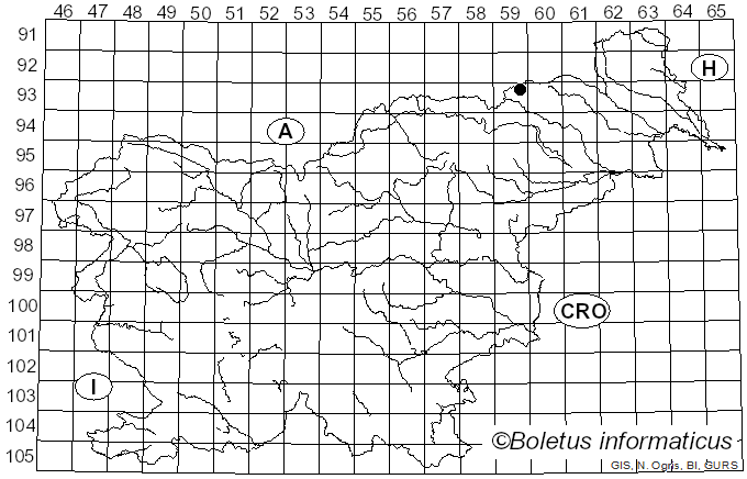 <i>Cortinarius inamoenus</i> (J. Favre) Quadr. (1985)