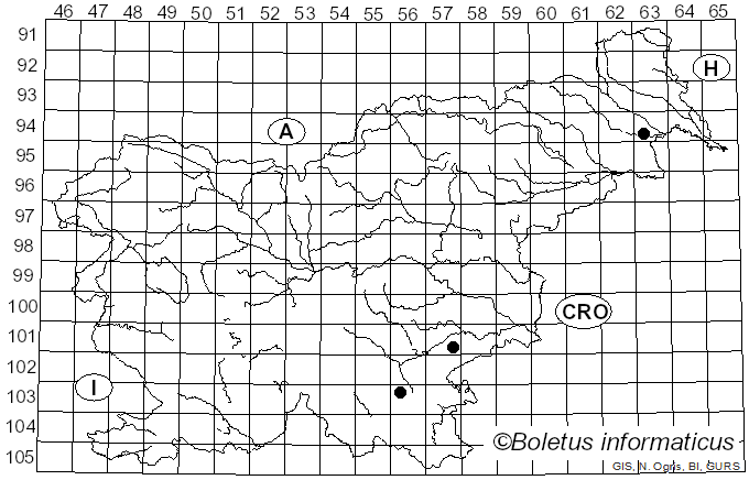 <i>Pachyella violaceonigra</i> (Rehm) Pfister (1974)