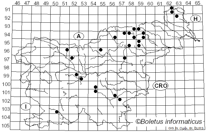 <i>Bankera</i> Coker & Beers ex Pouzar (1955)