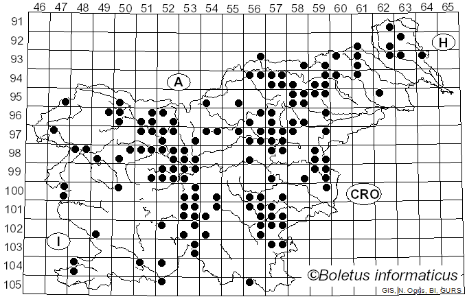 <i>Laeticutis cristata</i> (Schaeff.) Audet (2010)