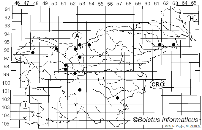 <i>Rhodonia placenta</i> (Fr.) Niemelä, K.H. Larss. & Schigel (2005)