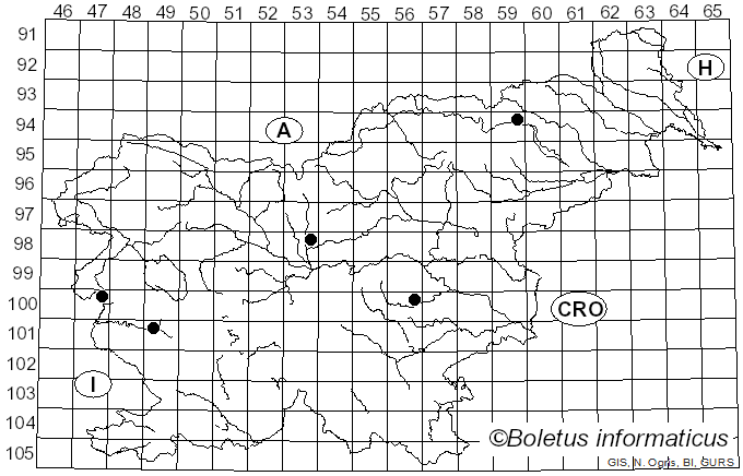 <i>Vanderbylia</i> D.A. Reid (1973)