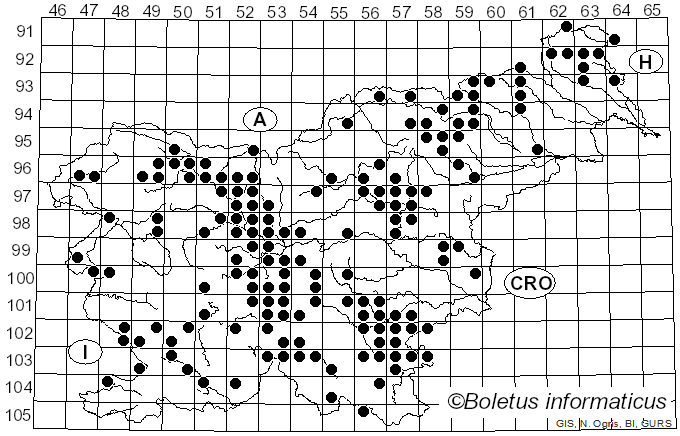 <i>Agaricus sylvaticus</i> Schaeff. (1774)