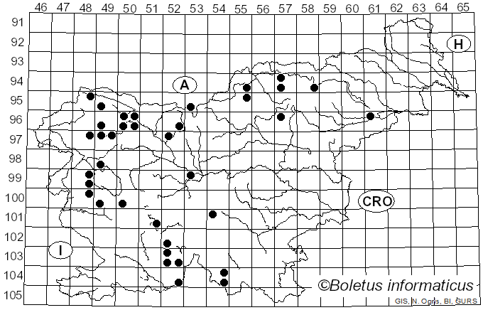 <i>Physcia aipolia</i> (Ehrh. ex Humb.) Fürnr. (1839)