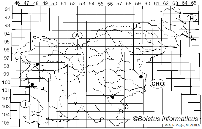 <i>Melanophyllum eyrei</i> (Massee) Singer (1951)