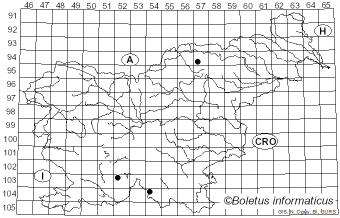 <i>Abrothallus bertianus</i> De Not. (1849)
