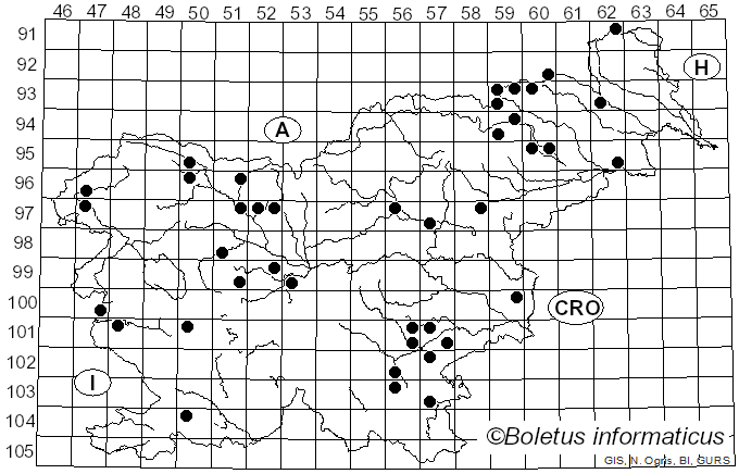 <i>Coprinellus domesticus</i> (Bolton) Vilgalys, Hopple & Jacq. Johnson (2001)