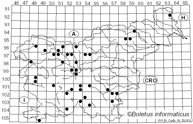 <i>Gyromitra infula</i> (Schaeff.) Quél. (1886)