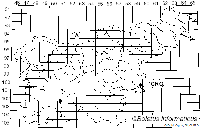 <i>Ilyonectria robusta</i> (A.A. Hildebr.) A. Cabral & Crous (2012)