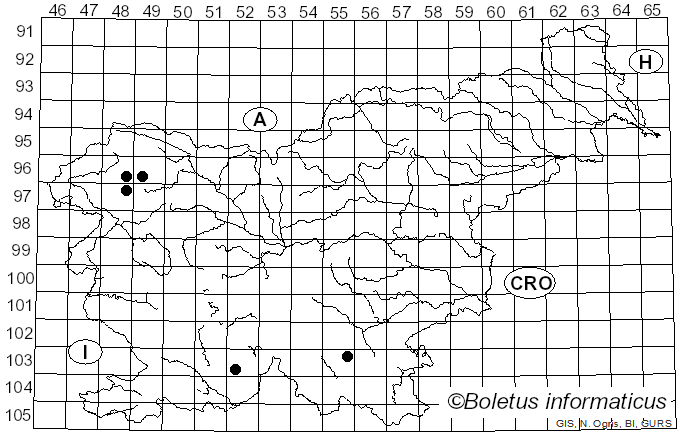 <i>Nephroma bellum</i> (Spreng.) Tuck. (1841)