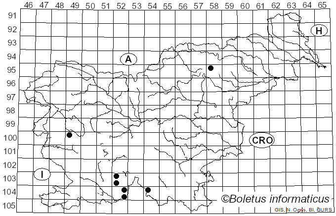 <i>Plectocarpon</i> Fée (1825)