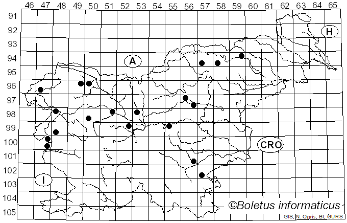 <i>Melanophyllum haematospermum</i> (Bull.) Kreisel (1984)
