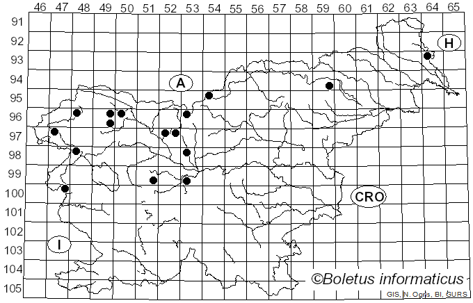<i>Hygrophorus speciosus</i> Peck (1878)