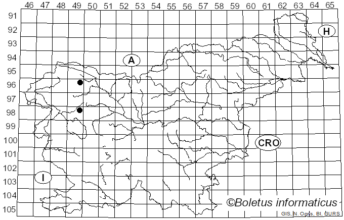 <i>Alpova diplophloeus</i> (Zeller & C.W. Dodge) Trappe & A.H. Sm. (1975)