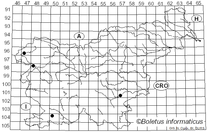 <i>Resupinatus trichotis</i> (Pers.) Singer (1961)