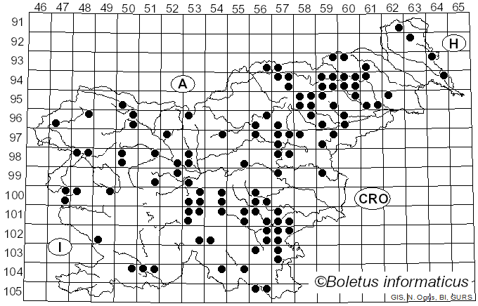 <i>Panus conchatus</i> (Bull.) Fr. (1838)